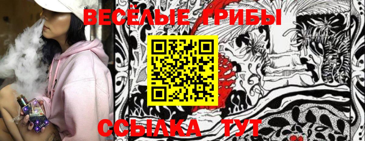 Псилоцибиновые грибы Cubensis  Псилоцибиновые грибы Psilocybine cubensis  Северск  Вход с VPN 