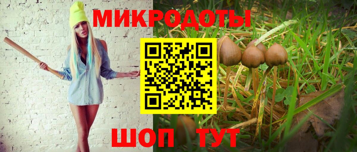 Псилоцибиновые грибы прущие грибы Северск