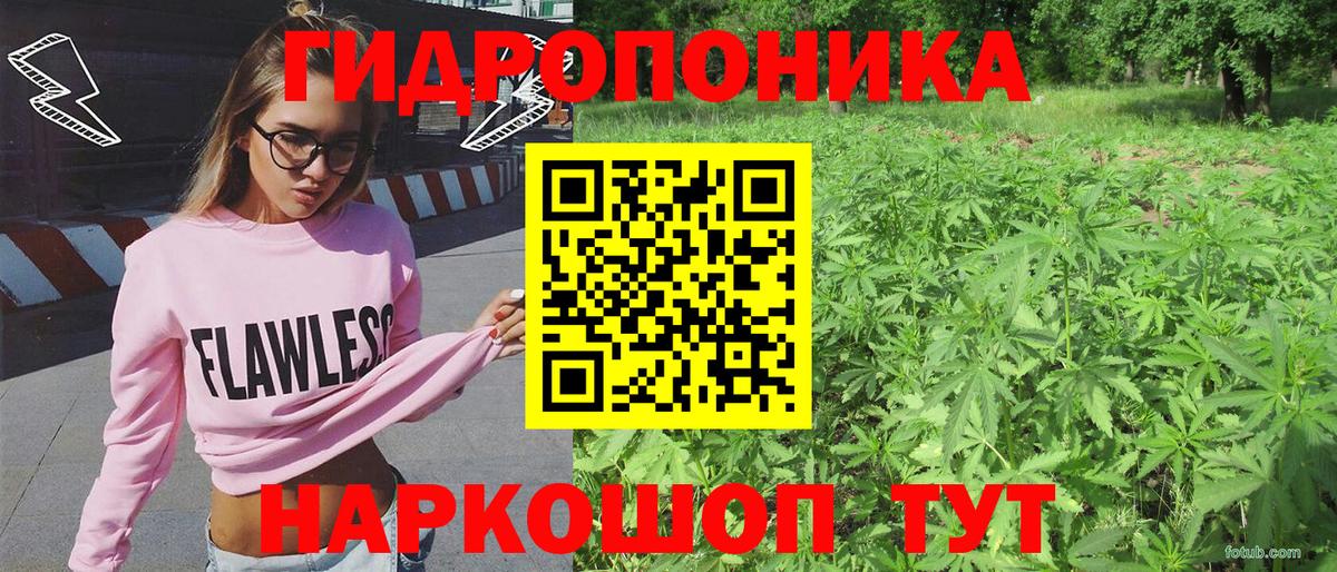 Конопля ГИДРОПОН Северск